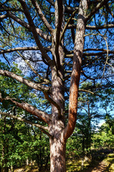 Similar image 11888010