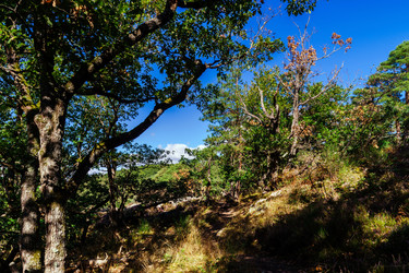 Similar image 11888011