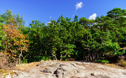 Similar image 11888015