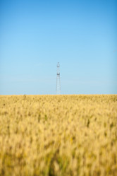 Similar image 11888798