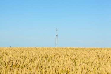 Similar image 11888799