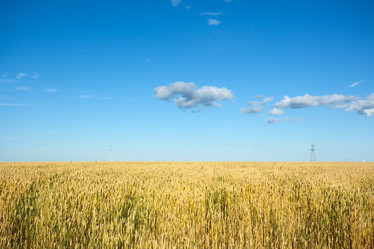 Similar image 11888800