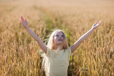 Similar image 11888831