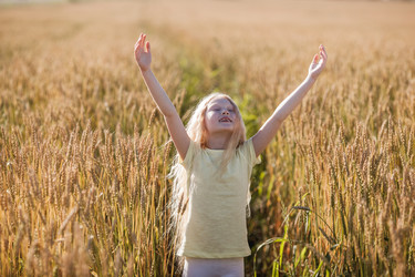 Similar image 11888833