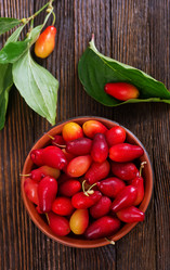 Similar image 11891653