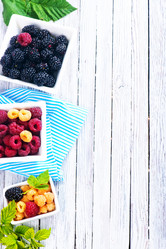 Similar image 11892054