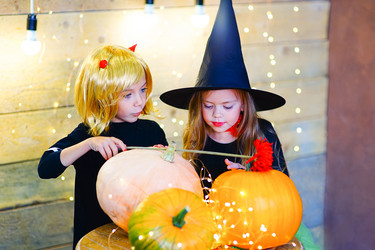 Similar image 11912249