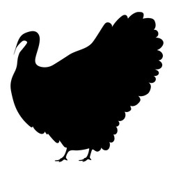 Similar image 11918319