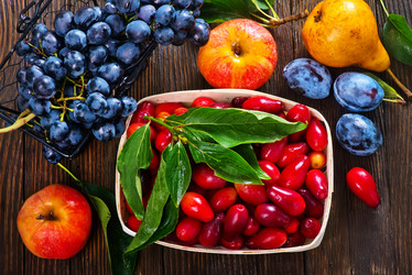 Similar image 11891660