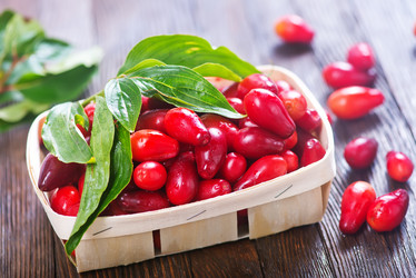 Similar image 11891696