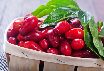 Similar image 11891698