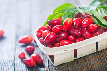 Similar image 11891702