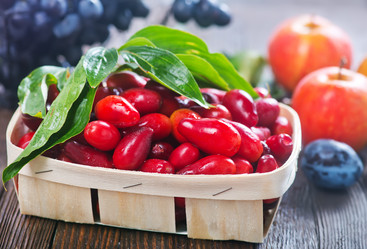 Similar image 11891715