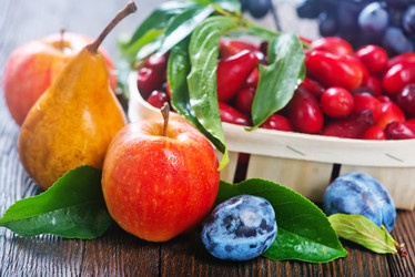 Similar image 11891717