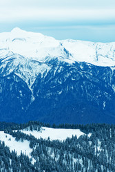 Similar image 11892136