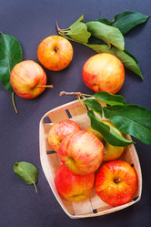 Similar image 11891589