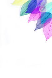 Similar image 11891728