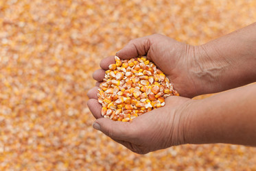 Similar image 11902422