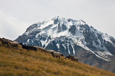 Similar image 11888195