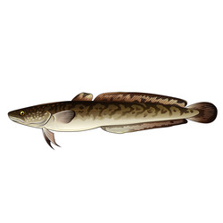 Similar image 11918371