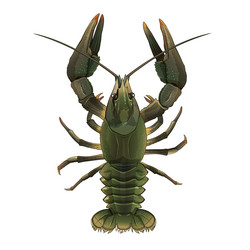 Similar image 11918372