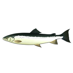 Similar image 11918381