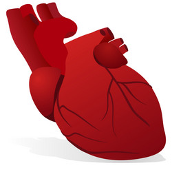 Similar image 11893672