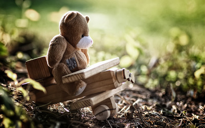 Similar image 11917816