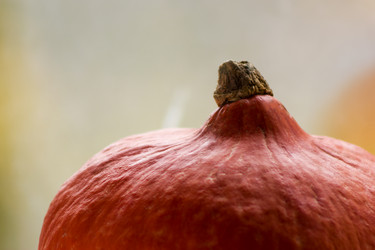 Similar image 11889814