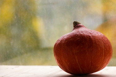 Similar image 11889815