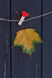 Similar image 11923779