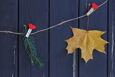 Similar image 11923782