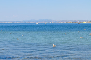 Similar image 11912485