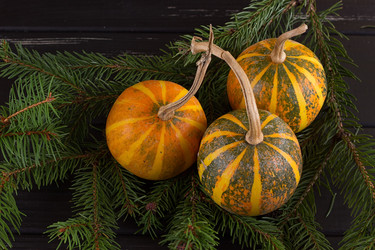 Similar image 11923717