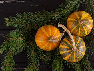 Similar image 11923718