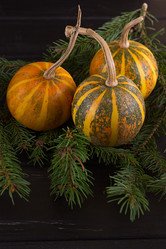 Similar image 11923719