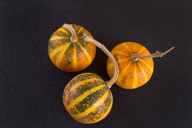 Similar image 11923733