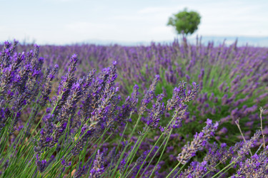 Similar image 11912764