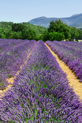 Similar image 11912991