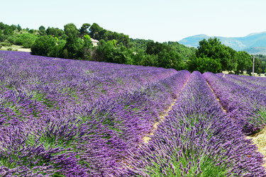 Similar image 11913063