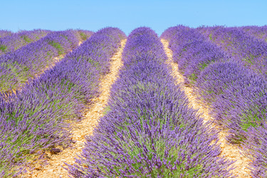 Similar image 11913064