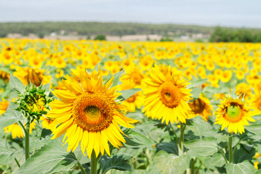 Similar image 11913080