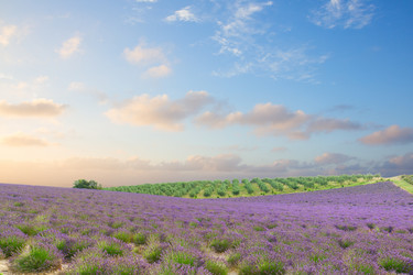 Similar image 11913155