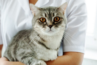 Similar image 11918574