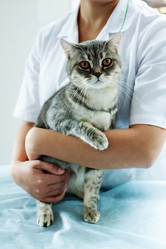 Similar image 11918577