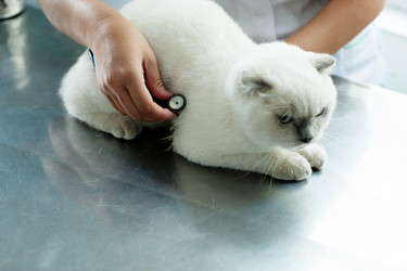 Similar image 11918578