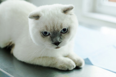 Similar image 11918579