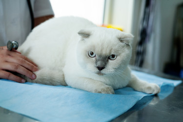 Similar image 11918580