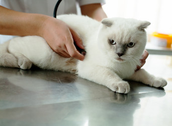 Similar image 11918583