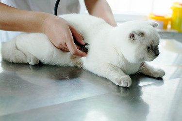 Similar image 11918584